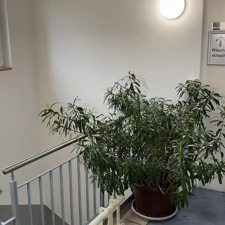 Seeperle Bistro Rorschach