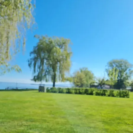 Seeperle Bistro אכסניה רורשאך